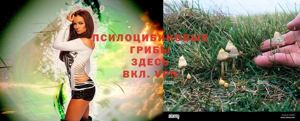 ALPHA PVP Белокуриха