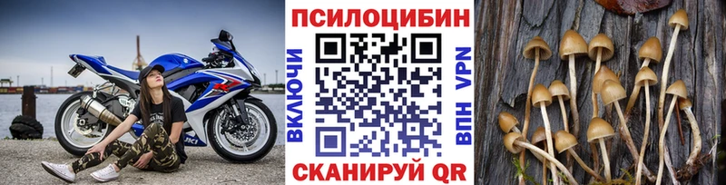 Псилоцибиновые грибы Cubensis  Чистополь 